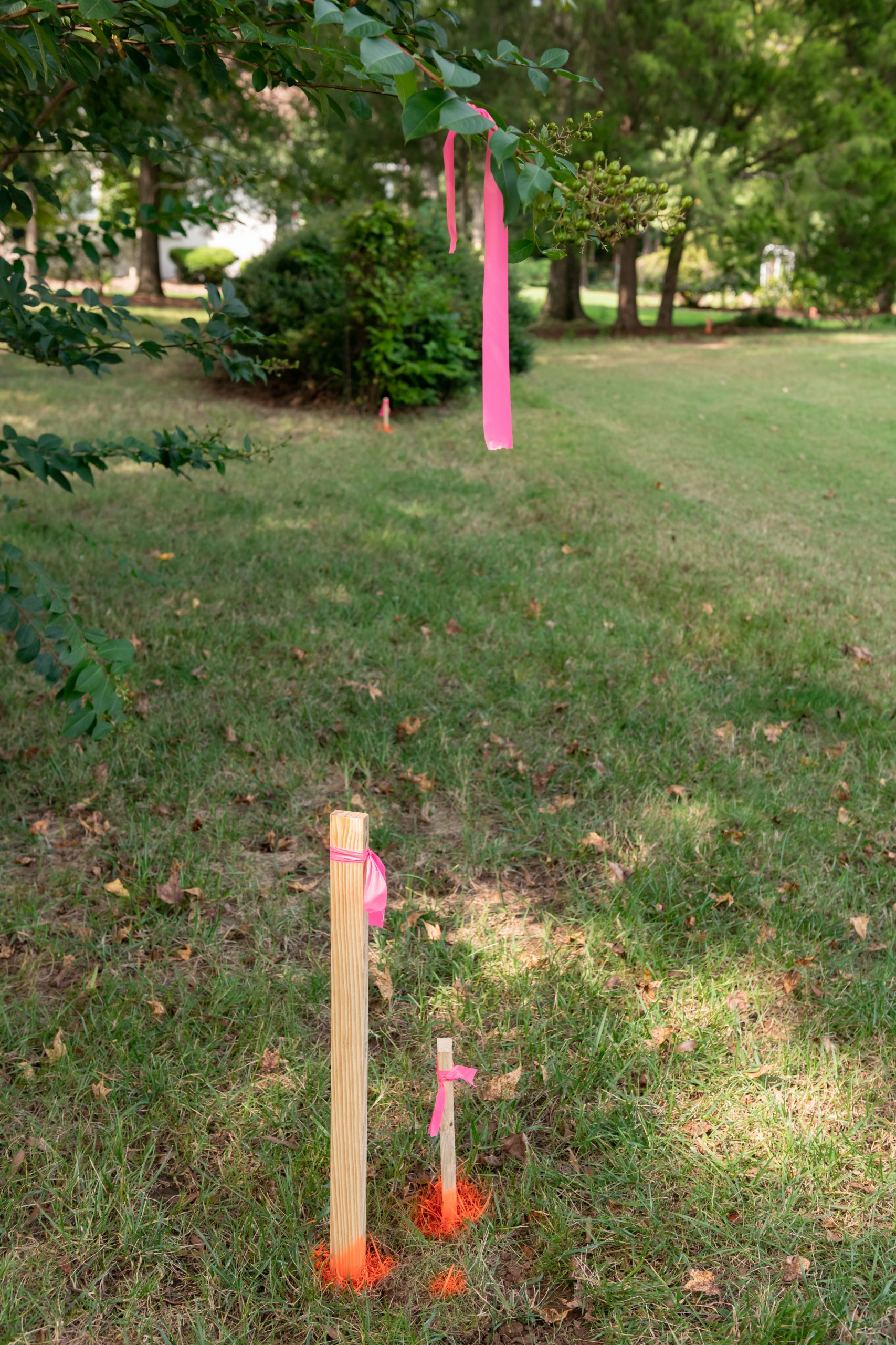Survey stakes placed by neighbor